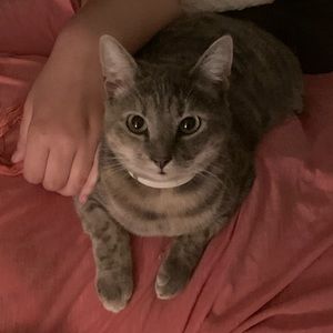 Meet your Posher, Savannah